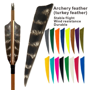 Bắn cung mũi tên lá chắn Parabol rắn barred gà tây mũi tên trái cánh phải bắn cung lông fletching - Product Image 1