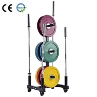 VIGFIT Support vertical professionnel haute capacité pour plaques de musculation, organisateur mobile de barres d'haltères, sûr, durable et écologique