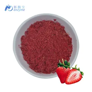 Échantillon gratuit Emballage en vrac OEM Poudre de fruit fraise lyophilisée biologique