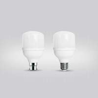 Fournisseur d'ampoules LED de haute qualité, ampoules LED haute puissance 10W 20W B22/E26/E27 AC 6500K, usage résidentiel, vente en gros