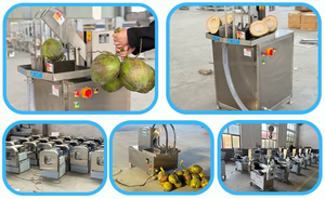 Machine à fendre les noix de coco en promotion, <span class=keywords><strong>extracteur</strong></span> d'eau de coco facile à utiliser, moteur 220V - Product Image 2