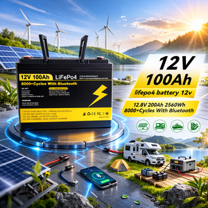 Batterie au lithium fer phosphate (LiFePO4) 12V 24V 100Ah 200Ah à décharge profonde pour système solaire, camping-car et camping - Stock UE - Product Image 1