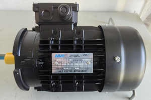 มอเตอร์ ABLE รุ่น MSHE100L1-4 2.2 กิโลวัตต์ ประเภท MS90S-4 1.1 กิโลวัตต์ ผลิตภัณฑ์ - Product Image 3