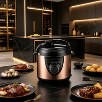 Autocuiseur Électrique Grande Taille Multifonctionnel en Option pour la Préparation de Repas en Groupe et la Vente en Gros