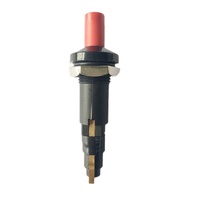 Allumeur piézoélectrique à bouton-poussoir RIAN personnalisé, alimenté au gaz, à réinitialisation automatique, avec contrôle de température, pour usage domestique, extérieur et commercial