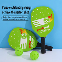 Ensemble de raquettes de pickleball en bois, forme standard, pour entraînement en extérieur, avec balle, pour adultes