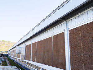 Nuova attrezzatura ondulata di raffreddamento evaporativa della carta del cuscinetto di raffreddamento della cellulosa per la zootecnia - Product Image 2