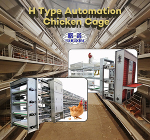 필리핀 계란 층 치킨 케이지 가금류 층 암탉 치킨 케이지 하우스 용 A형 배터리 케이지 절반 - Product Image 3
