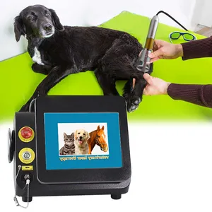 Equipamento de fisioterapia veterinária para cães, gatos, cavalo e animais de estimação que cura 980nm