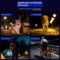 Pendentif lumineux LED pour chien et chat, sécurité, rechargeable par USB, ABS, silicone, résistant à l'eau, extérieur, réutilisable pour la marche nocturne