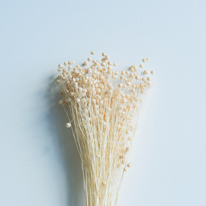 Tiges de haricot séchées pour bouquet de mariée, centre de table, garniture de vase, décoration intérieure, fournitures pour fleuristes et cadeaux de mariage - Product Image 5
