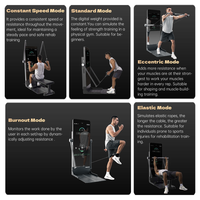 IMBODY POWER S Pro Station de fitness intelligente sur pied en acier au carbone et ABS de 43 pouces avec miroir de gym multifonctionnel pour la musculation
