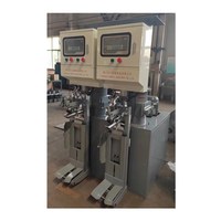 Ensacheuse à ciment à deux becs de type fixe Tangshan Zhongyi 30t/h