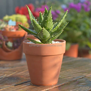 Bán Buôn Đất Nung Nồi Đất Sét Gốm Màu Đỏ Chậu Hoa 3Pcs Mỗi Gói Đất Nung Nhà Máy Chậu Hoa Và Chiếc Đĩa - Product Image 5