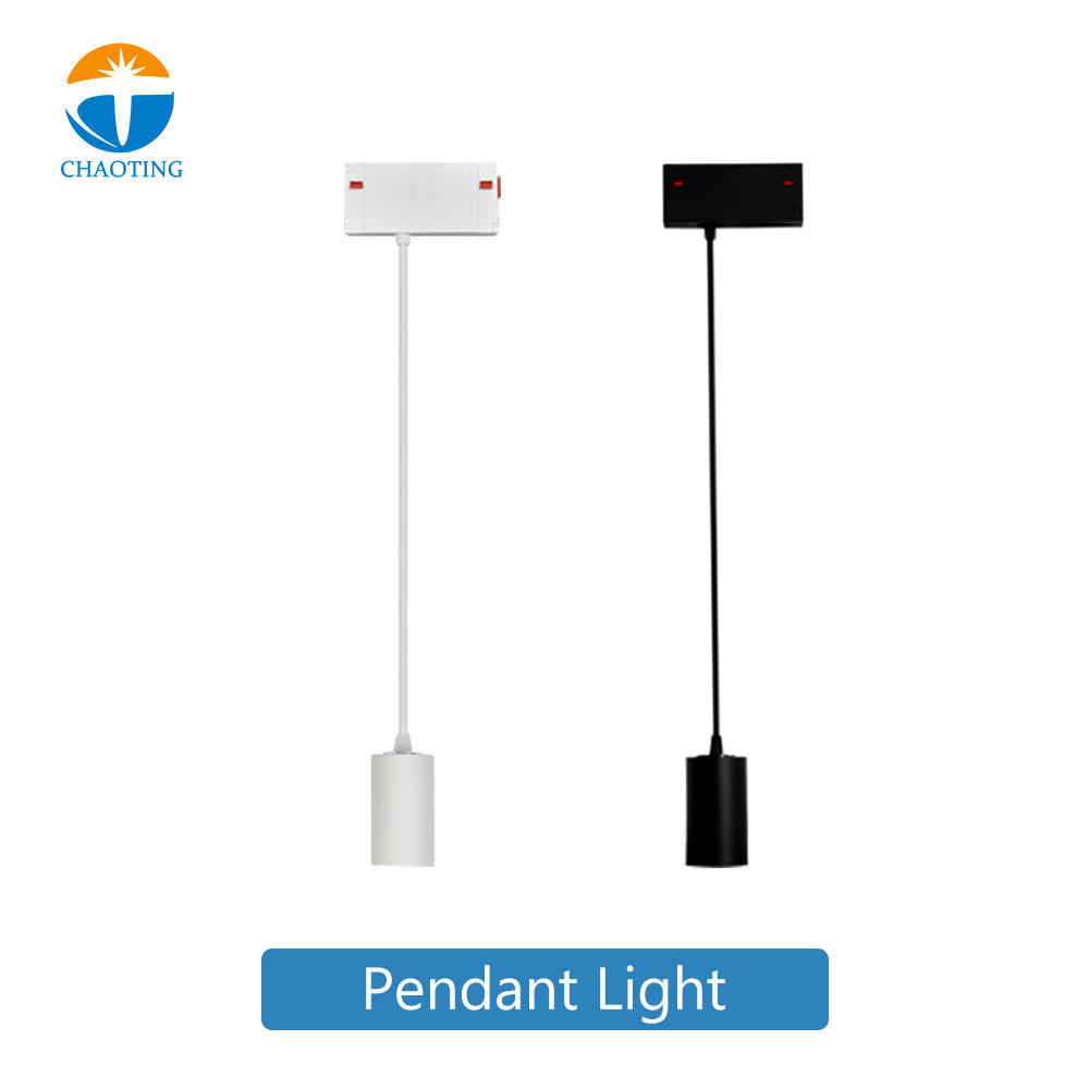 Lumière pendante de la voie 12W