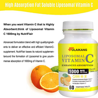 Comprimés de Vitamine C à Marque Blanche 1000mg, Biodisponibilité Améliorée, Antioxydant Liposoluble pour Adultes, OEM/ODM