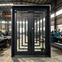 Puerta de Hierro Fundido y Puertas de Vidrio de Estilo Europeo Personalizadas para el Hogar, Entrada Resistente Antirrobo