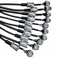 Conector Circular Macho de 9 Pines WS16 para Aviación, Ensamblaje de Cable IP68 Impermeable, Carcasa Metálica con Bloqueo de Rosca, Chapado en Oro, Industrial