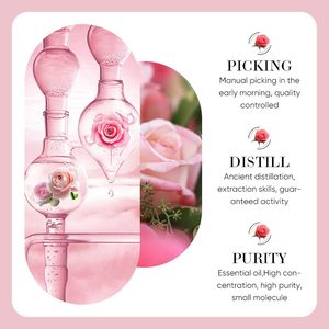 Vente en gros d'extraits naturels de plantes pour le soin du visage hydratant et massant Huile de rose et huiles essentielles pour le corps - Product Image 5