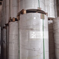 Rouleau géant de fond de gobelet en papier kraft recyclable pour l'impression en flexographie et les contenants alimentaires écologiques avec prix d'usine