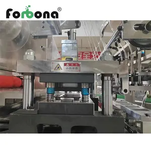Forbona New Design Fully Automatic Cardboard Blister Thermoforming Blister Packaging Machine