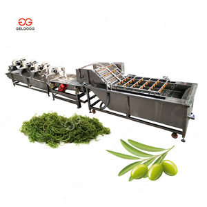 Industrial Automatic Olive Clean Fruit Vegetable Washer Seaweed Leaf Bubble Wash Machine from China