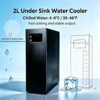Refroidisseur d'eau compact sous évier, 2L, petit réservoir, réfrigération rapide, eau froide stable, pour la maison et le bureau, directement de l'usine