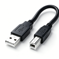 Câble d'imprimante USB 2.0 haute vitesse Qiulink, mâle A vers mâle B, cordon de scanner, double blindage, cuivre OFC pour imprimante, scanner, copieur
