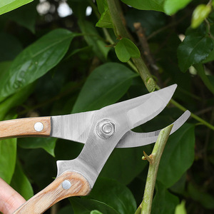Garden Pruning Shears 20-30 Mm Bypass For Fruit <b>Trees</b> And <b>Branches</b> Home Use - Product Image 2