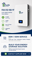 Batterie murale de stockage d'énergie solaire hors réseau pour la maison, 51,2 V 100 Ah 5,12 kWh, batterie LiFePO4 avec communication RS485 CAN