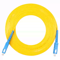 Cable de Fibra Óptica SC-SC 3M Personalizado OEM, Monomodo G652D LSZH PVC 5G, Cable de Conexión de Fibra Óptica para Redes de Telecomunicaciones FTTH