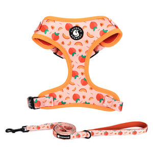 Conjunto de Arnés de Neopreno para Perro con Logotipo Personalizado, Arnés y Correa Ajustables para Perro, Fabricación de Conjuntos de Arnés para Mascotas - Product Image 2
