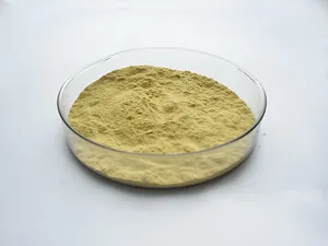 Insen Supply Good Quality Pine Pollen