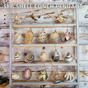 Colgante de Concha Marina Natural, Perla Madre, Forma Irregular, Color Natural - Product Image 2