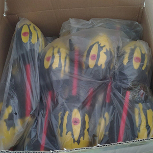 IAAF Kids Athletics <span class=keywords><strong>Vortex</strong></span> Balls Mini Javelin-Target Throw Rocket Ball pour les sports scolaires Équipement et équipement d'athlétisme - Product Image 3