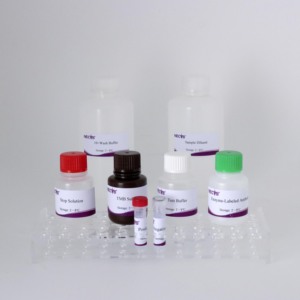 Kit de l'anticorps ELISA de <span class=keywords><strong>REV</strong></span> (96T) | CE certifié | Test de sérum aviaire | Commande en gros disponible - Product Image 6