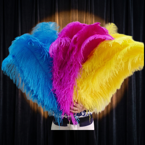 Plumes d'autruche colorées teintées sur mesure en gros pour artisanat promotionnel à prix abordable - Product Image 2