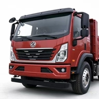 Nouveau camion benne léger Shacman 4x2 de 10 tonnes pour travaux d'ingénierie civile