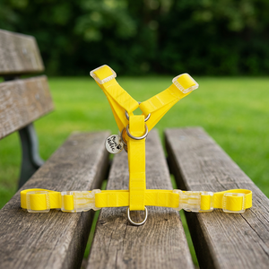Harnais pour chien de luxe imperméable en forme de Y, avec lumières, revêtement PVC, design jaune simple et tendance, respirant et réfléchissant - Product Image 3