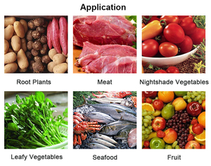 Machine à laver industrielle de pommes de terre de radis de nettoyage professionnel - Product Image 4