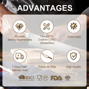 Couteau de <span class=keywords><strong>chef</strong></span> damassé à 67 couches de style japonais VG10 à noyau en acier de 8 pouces manche en résine pour gaucher passe au lave-vaisselle pour le tranchage des bouchers - Product Image 6