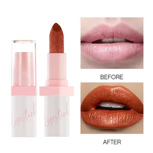 2024 New Private Label Shimmer Lipstick Custom Logo Vegan High Pigment Glitter Lipstick Cosmetics Waterproof Matte Lipstick