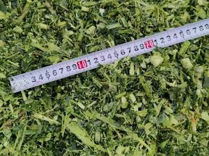 Moissonneuse-broyeuse de fourrage mini Senrui4QZ-2000C homologuée CE, robuste, pour la ferme - Product Image 6