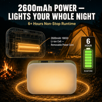 Mini lampe de travail pour le camping en plein air, rechargeable par USB C, lanterne magnétique, cinq modes, IP63, lampe d'urgence pour la réparation de véhicules