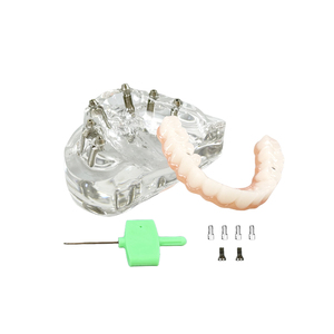Modelos Dentales de Resina a Precio de Fábrica, Modelos de Implantes Dentales Maxilares y Dentaduras Postizas Reutilizables para Entrenamiento y Uso Educativo - Product Image 6