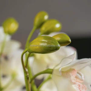 <span class=keywords><strong>Whelan</strong></span> avec feuilles en pot fleurs artificielles orange plante florale artificielle avec pot fleurs d'orchidées artificielles - Product Image 6