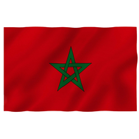Drapeau national marocain personnalisé pour voiture, 90x150cm, impression numérique polyester, durable et séchage rapide