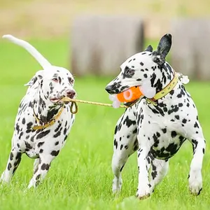 Fabriek Directe Verkoop Hot Sale Grote Hond Rubber Speelgoed Kauwen Bot Hond Kauwbeen Speelgoed