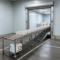 Fabricant de convoyeurs à rouleaux pour entrepôts, système de convoyeur à rouleaux motorisé extensible et flexible pour le transport de colis