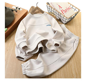 Conjunto de <span class=keywords><strong>ropa</strong></span> deportiva informal para niños de otoño 2025 al por mayor, conjunto de dos piezas para niños grandes con patrón, conjunto de <span class=keywords><strong>ropa</strong></span> para niños - Product Image 5